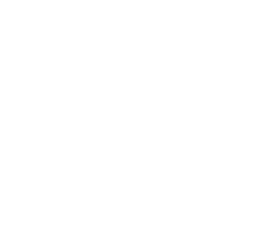 Pixel Pro